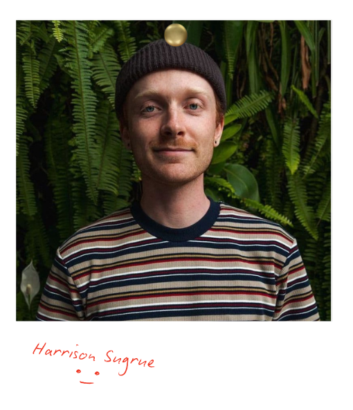 Harrison Sugrue